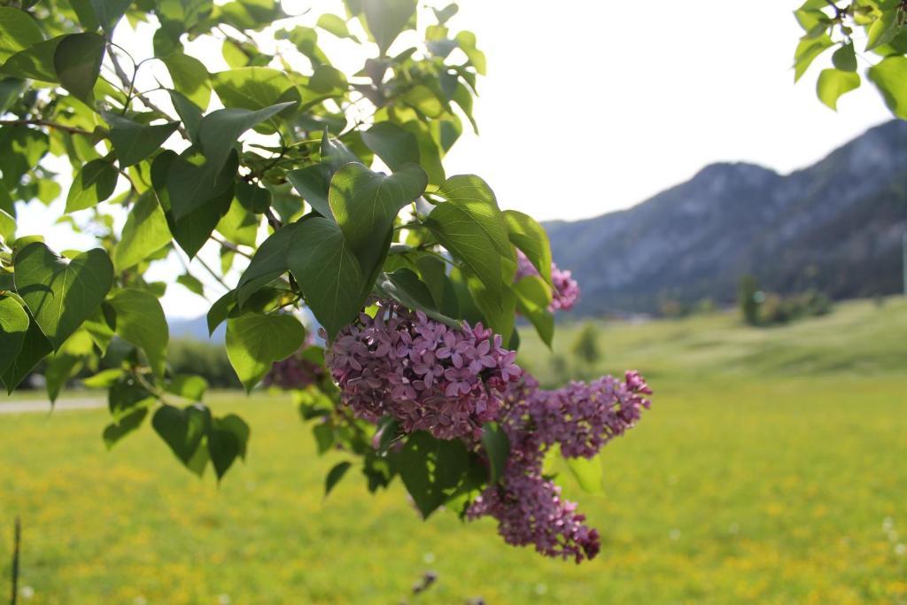 Kraftquelle Schlossblick 3*